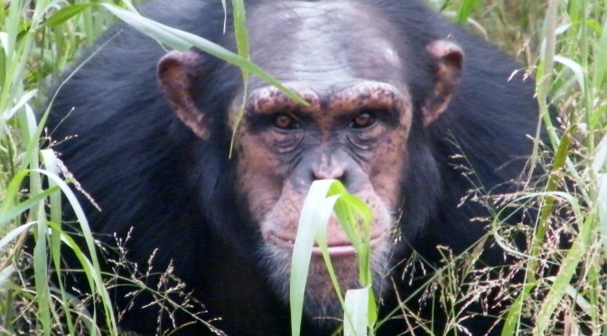 From Delhi Zoo